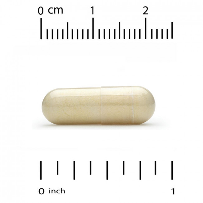 California Gold Nutrition, Маточное молочко, сублимированный концентрат, 500 мг, 30 растительных капсул California Gold Nutrition, Маточное молочко, сублимированный концентрат, 500 мг, 30 растительных капсул