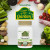 NaturesPlus, Source of Life Garden, сертифицированный органический витамин C, 60 растительных капсул NaturesPlus, Source of Life Garden, сертифицированный органический витамин C, 60 растительных капсул