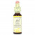 Bach, Original Flower Remedies, Cerato, 10 мл (0,35 жидк. унции) Bach, Original Flower Remedies, Cerato, 10 мл (0,35 жидк. унции)