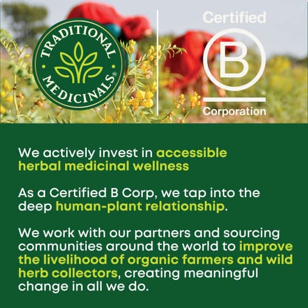 Traditional Medicinals, Yellow Pau d 'Arco, без кофеина, 16 чайных пакетиков, 24 г (0,85 унции) Traditional Medicinals, Yellow Pau d 'Arco, без кофеина, 16 чайных пакетиков, 24 г (0,85 унции)