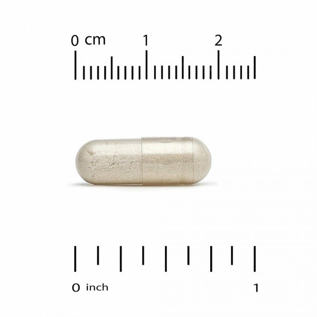 California Gold Nutrition, Глюкозамин, хондроитин и МСМ с гиалуроновой кислотой, 120 растительных капсул California Gold Nutrition, Глюкозамин, хондроитин и МСМ с гиалуроновой кислотой, 120 растительных капсул