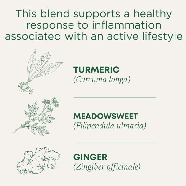 Traditional Medicinals, Органическая куркума с таволгой и имбирем, без кофеина, 16 чайных пакетиков в упаковке, 32 г (1,13 унции) Traditional Medicinals, Органическая куркума с таволгой и имбирем, без кофеина, 16 чайных пакетиков в упаковке, 32 г (1,13 унции)