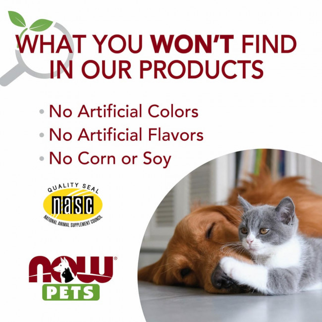 NOW Foods, Pets, поддержка мочеиспускания для собак / кошек, 90 жевательных таблеток NOW Foods, Pets, поддержка мочеиспускания для собак / кошек, 90 жевательных таблеток