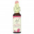 Bach, Original Flower Remedies, сосна, 10 мл (0,35 жидк. унции) Bach, Original Flower Remedies, сосна, 10 мл (0,35 жидк. унции)