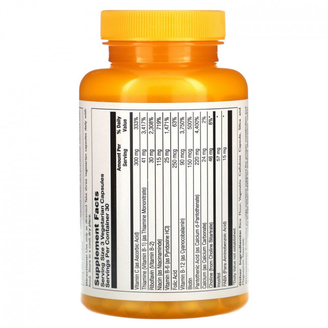 Thompson, Витаминный комплекс Stress Complex, 90 растительных капсул
