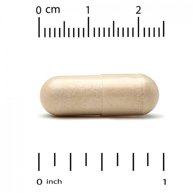 California Gold Nutrition, Fungiology, MushRex Plus, Immune Assist Micron, комплекс грибов полного спектра, сертифицированный органический продукт, 120 растительных капсул California Gold Nutrition, Fungiology, MushRex Plus, Immune Assist Micron, комплекс грибов полного спектра, сертифицированный органический продукт, 120 растительных капсул