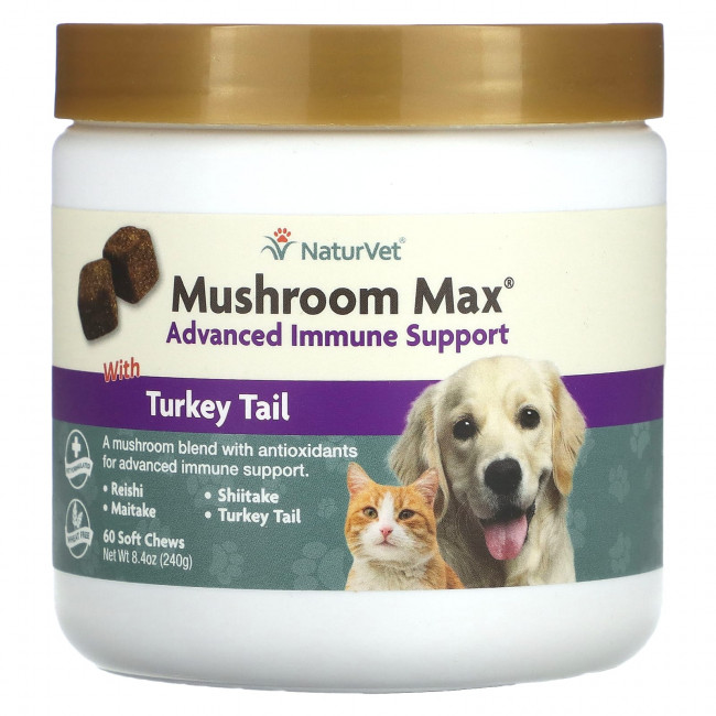 NaturVet, Mushroom Max, улучшенная поддержка иммунитета с индюковидным хвостом, для собак и кошек, 60 жевательных таблеток, 240 г (8,4 унции) NaturVet, Mushroom Max, улучшенная поддержка иммунитета с индюковидным хвостом, для собак и кошек, 60 жевательных таблеток, 240 г (8,4 унции)