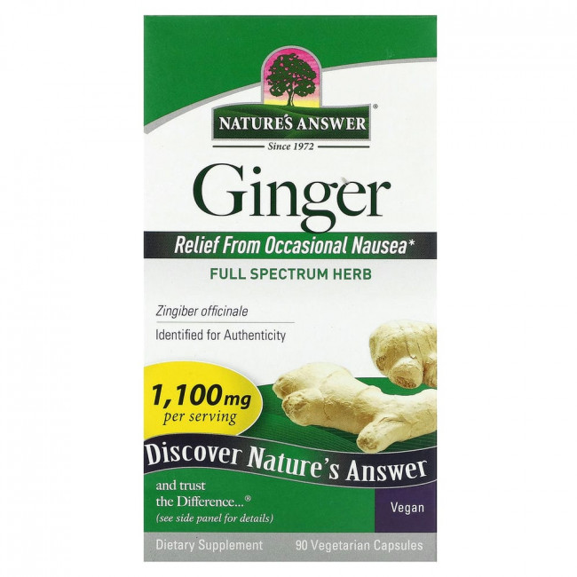 Nature's Answer, Ginger, 1,100 mg, 90 Vegetarian Capsules (550 mg per Capsule)
