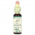 Bach, Original Flower Remedies, падуб, 10 мл (0,35 жидк. унции) Bach, Original Flower Remedies, падуб, 10 мл (0,35 жидк. унции)