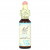 Bach, Original Flower Remedies, бук, 10 мл (0,35 жидк. унции)
