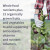 Garden of Life, Vitamin Code, мультивитамины из цельных продуктов для мужчин, 240 вегетарианских капсул Garden of Life, Vitamin Code, мультивитамины из цельных продуктов для мужчин, 240 вегетарианских капсул