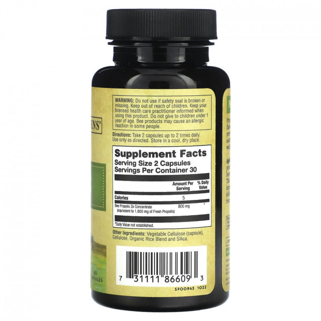 Honey Gardens, Bee Propolis, 2x Potency, 60 Capsules