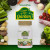 NaturesPlus, Источник жизни Сад, Железо, 30 веганских капсул NaturesPlus, Источник жизни Сад, Железо, 30 веганских капсул