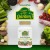 NaturesPlus, Source of Life Garden, органическая поддержка здоровья костей, 120 растительных капсул NaturesPlus, Source of Life Garden, органическая поддержка здоровья костей, 120 растительных капсул