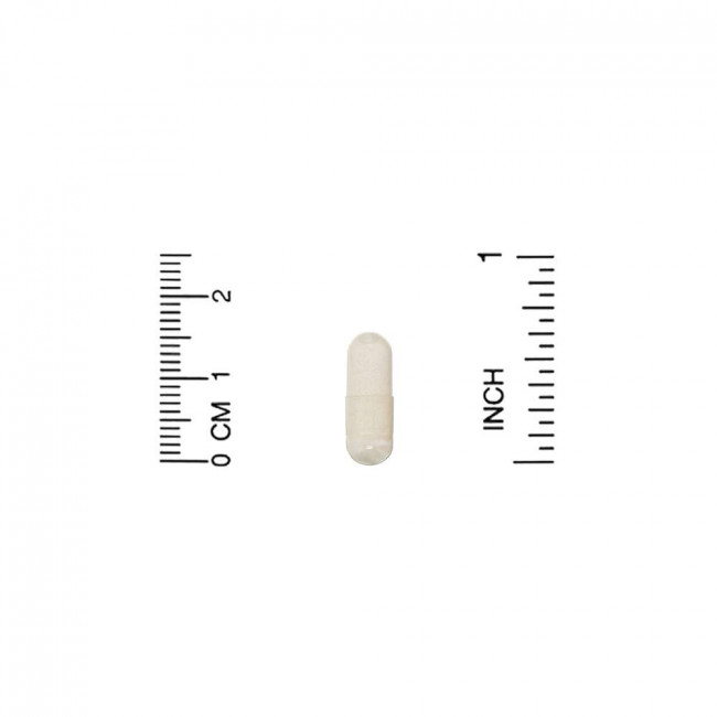 Enzymedica, яблочный уксус с уксусной маткой, 120 капсул Enzymedica, яблочный уксус с уксусной маткой, 120 капсул